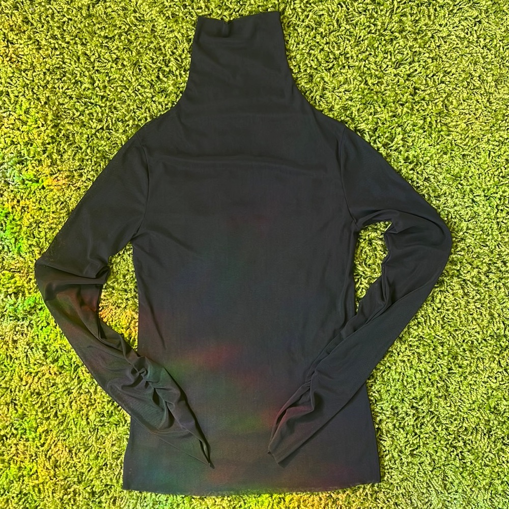 Sheer turtle neck long sleeve
